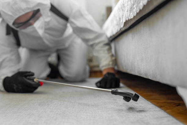 Professional Bed Bug Control technician working in South Central Connecticut Planning Region County, CT